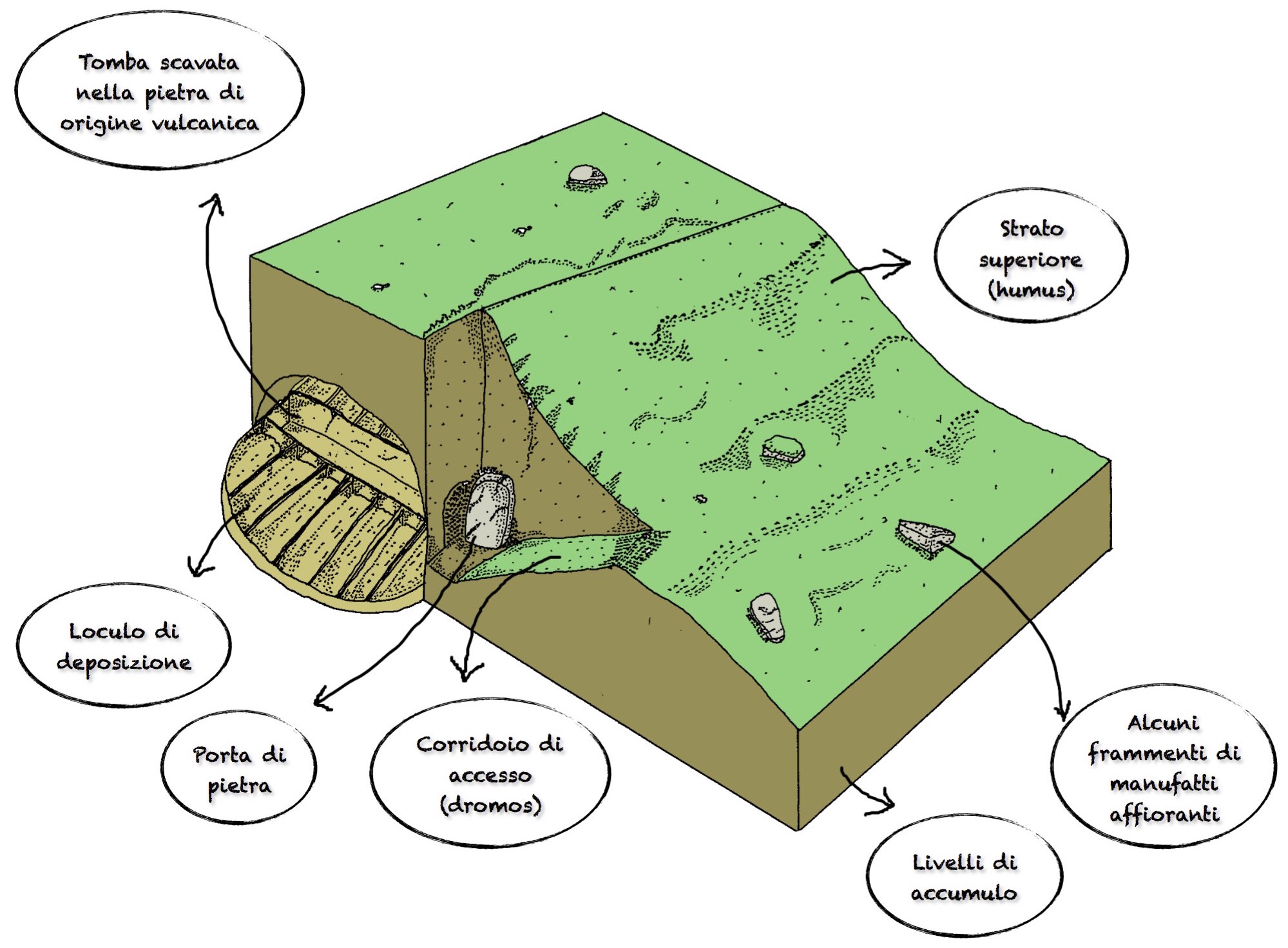 SISA Scuola Internazionale di Scavo Archeologico
